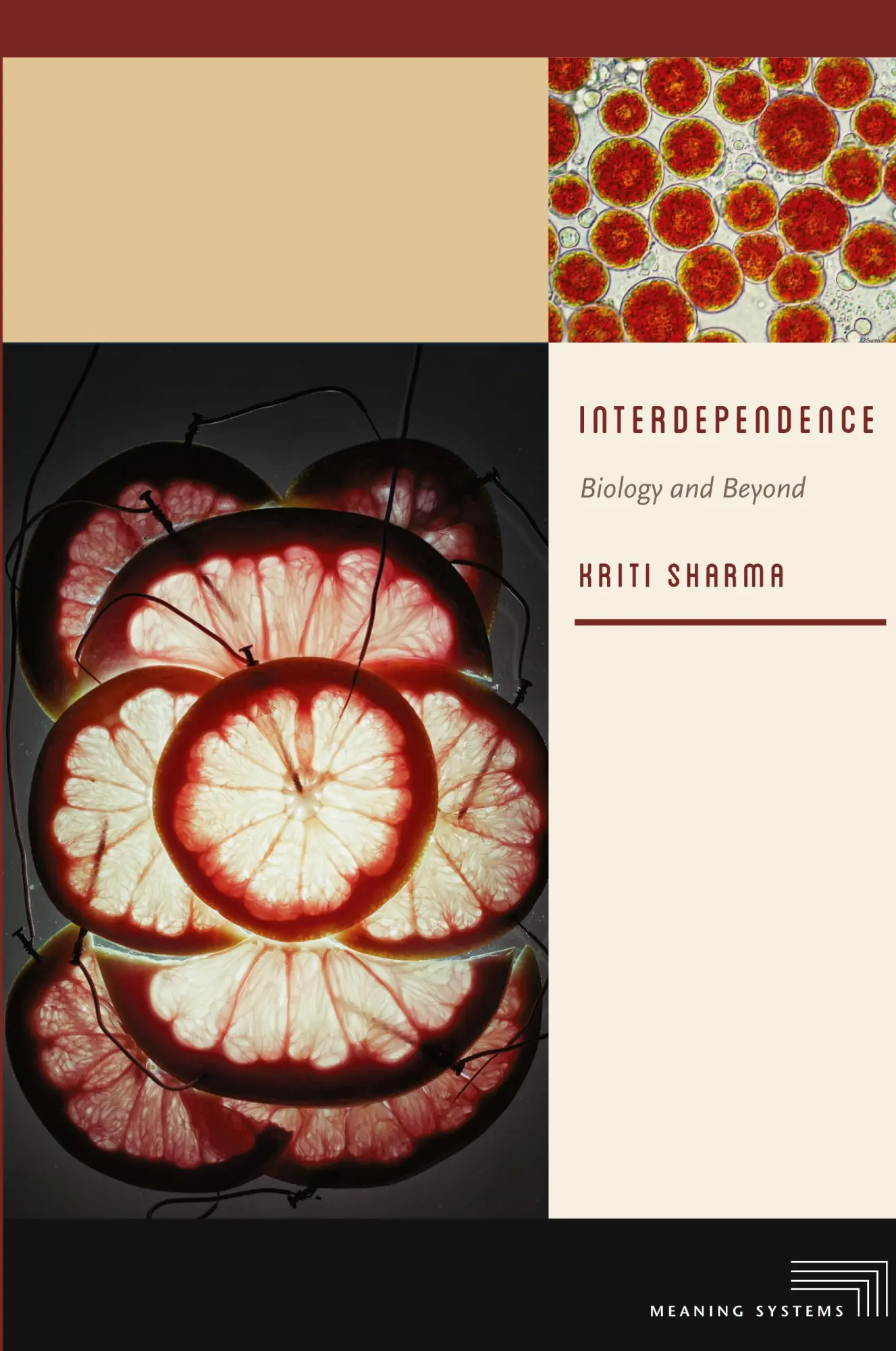 Cover: 9780823265534 | Interdependence | Biology and Beyond | Kriti Sharma | Taschenbuch