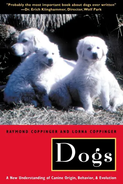 Cover: 9780226115634 | Dogs | A New Understanding of Canine Origin, Behavior and Evolution