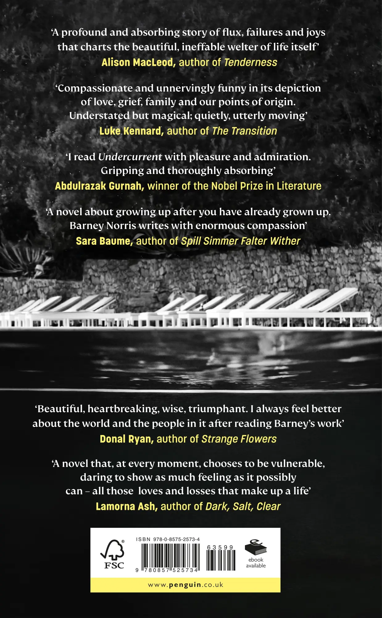 Rückseite: 9780857525734 | Undercurrent | Barney Norris | Buch | Gebunden | Englisch | 2022