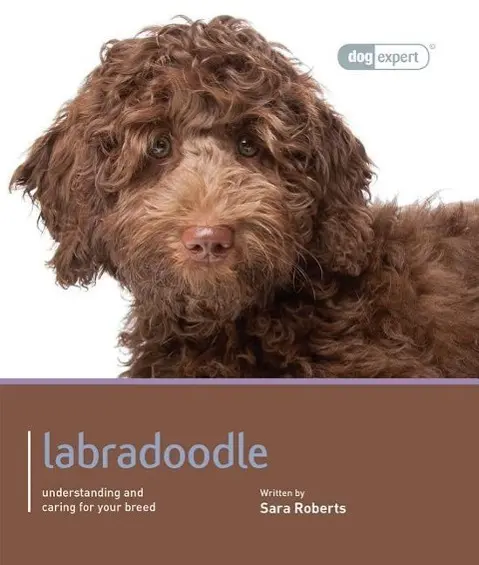 Cover: 9781906305734 | LABRADOODLE | Sara Roberts | Taschenbuch | Dog Expert | Englisch