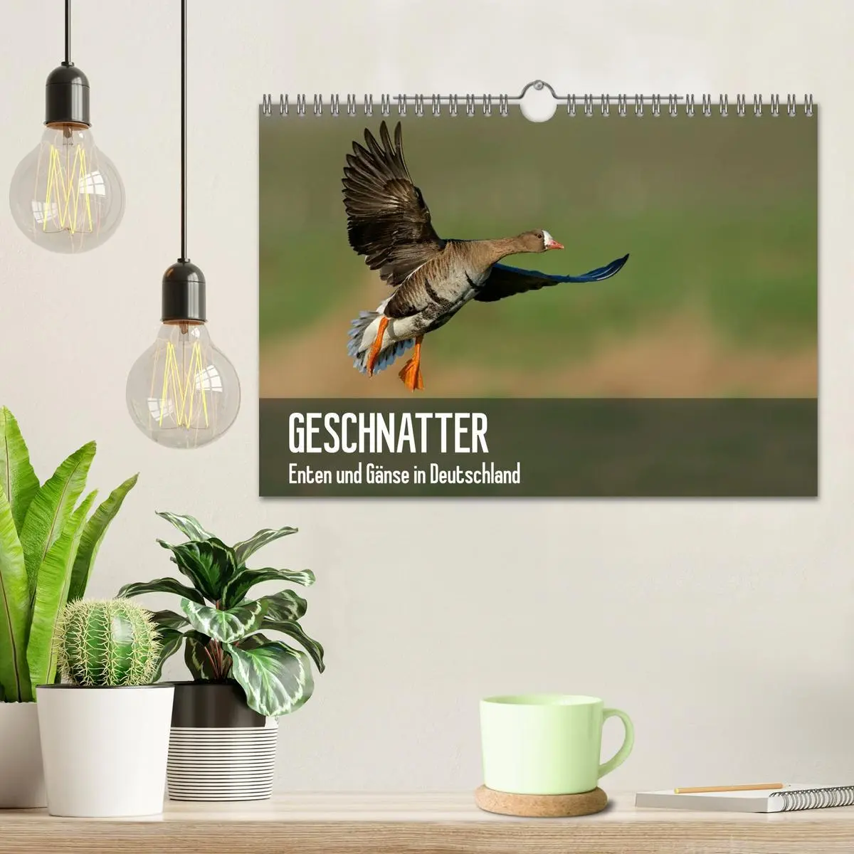 Bild: 9783516115734 | Geschnatter - Enten und Gänse in Deutschland (Wandkalender 2026 DIN...