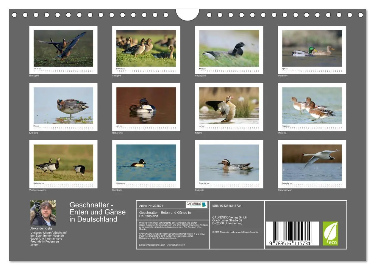 Bild: 9783516115734 | Geschnatter - Enten und Gänse in Deutschland (Wandkalender 2026 DIN...