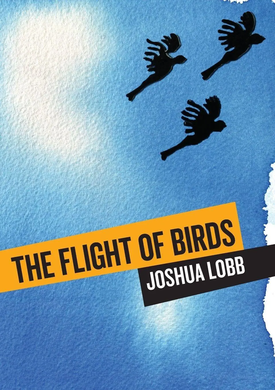 Cover: 9781743325834 | The Flight of Birds | A Novel in Twelve Stories | Joshua Lobb | Buch