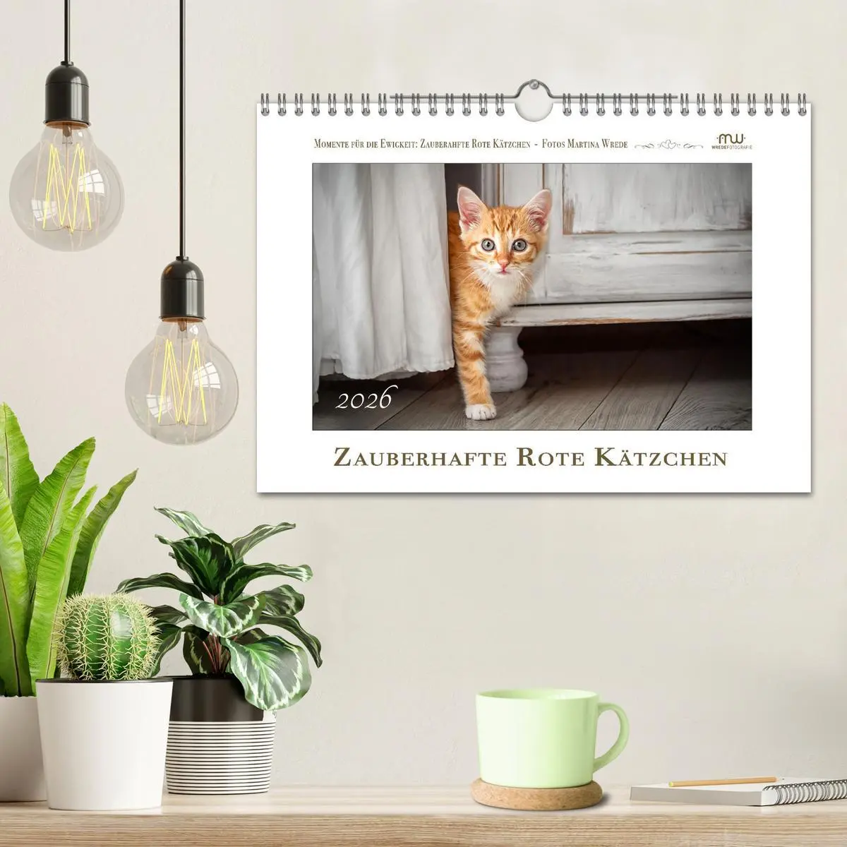 Bild: 9783457255834 | Zauberhafte rote Kätzchen (Wandkalender 2026 DIN A4 quer), CALVENDO...