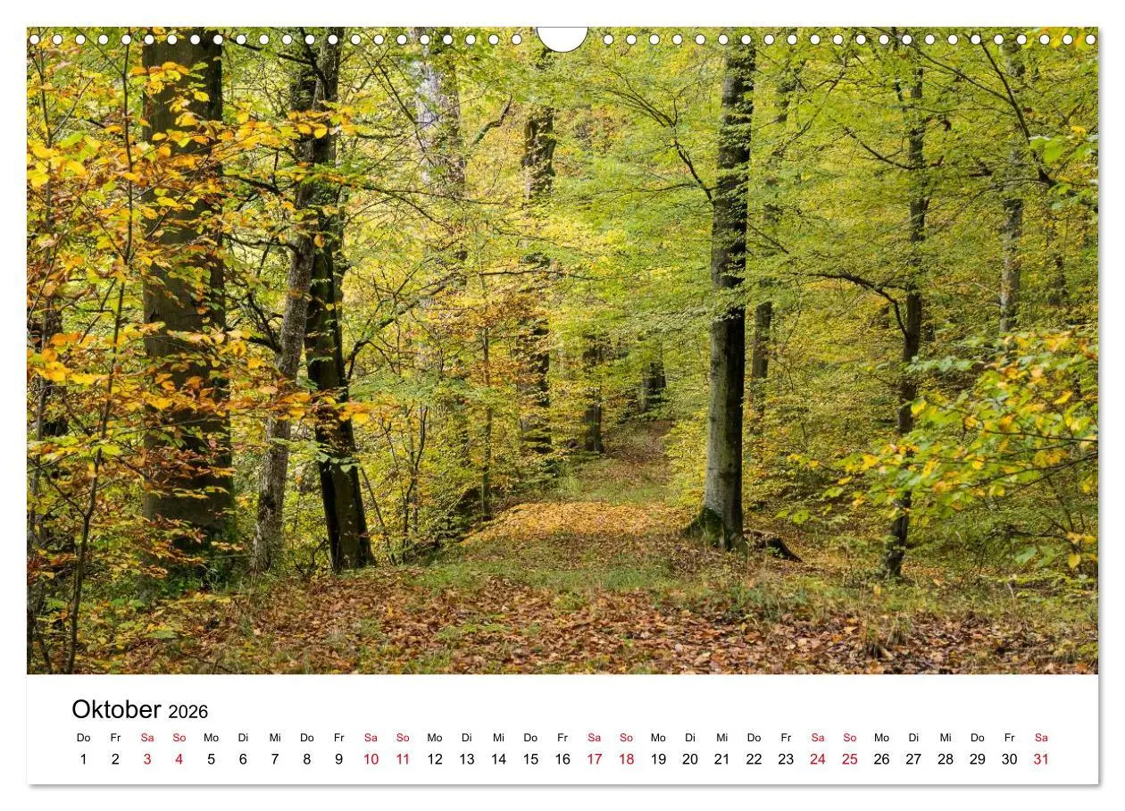 Bild: 9783457945834 | Wege in der Natur - Kraichgau und Enzkreis (Wandkalender 2026 DIN...