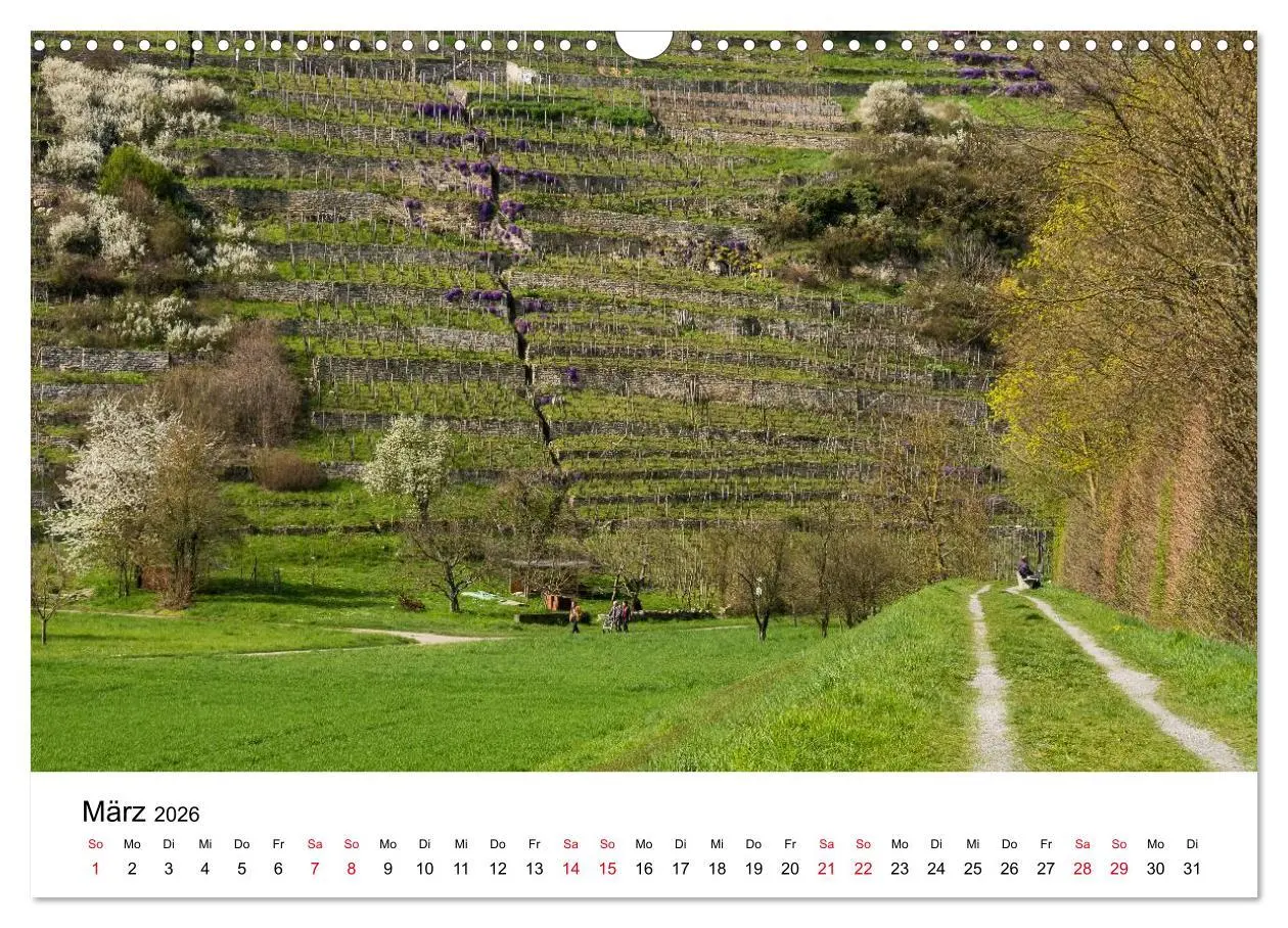Bild: 9783457945834 | Wege in der Natur - Kraichgau und Enzkreis (Wandkalender 2026 DIN...