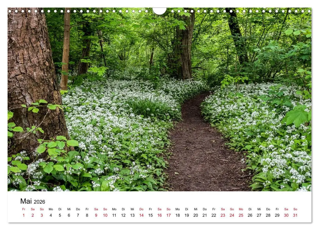 Bild: 9783457945834 | Wege in der Natur - Kraichgau und Enzkreis (Wandkalender 2026 DIN...