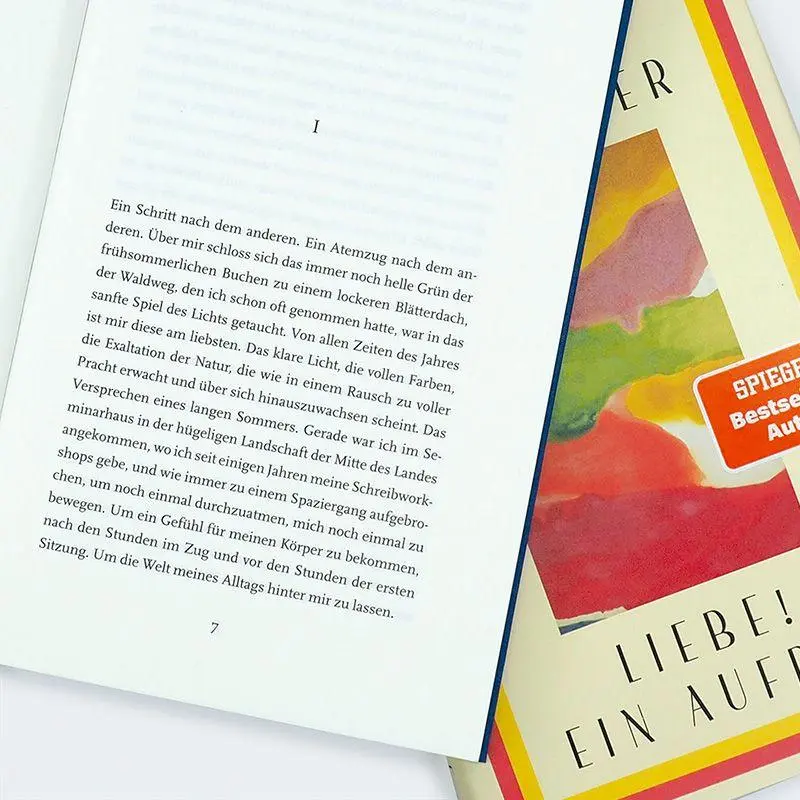 Bild: 9783446285934 | Liebe! Ein Aufruf | Daniel Schreiber | Buch | 160 S. | Deutsch | 2025