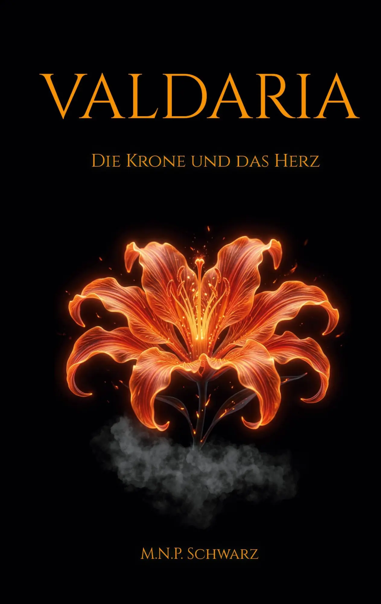 Cover: 9783819205934 | Valdaria | Die Krone und das Herz | M. N. P. Schwarz | Taschenbuch