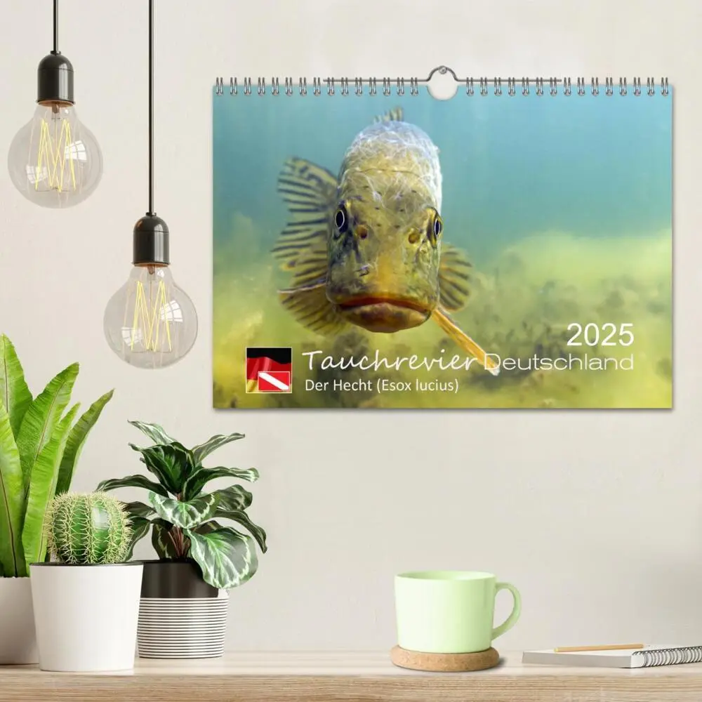 Bild: 9783435426034 | Tauchrevier Deutschland - Der Hecht (Esox lucius) (Wandkalender...