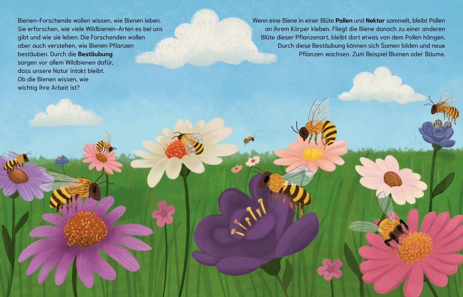 Bild: 9783551256034 | Sind Bienen kleine Superhelden? (Gute Frage!) | Eliza Jeffrey | Buch
