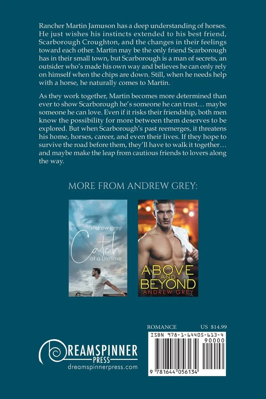 Rückseite: 9781644056134 | Hard Road Back | Andrew Grey | Taschenbuch | Englisch | 2020