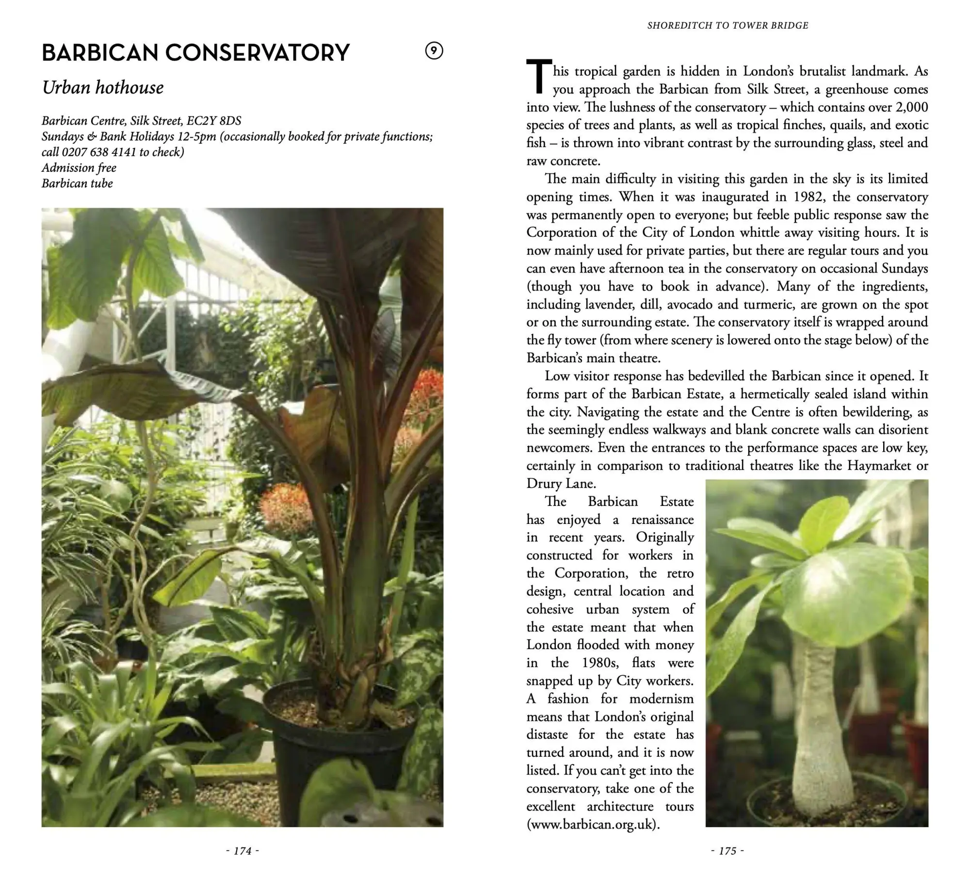 Bild: 9782361956134 | Secret London | An unusual guide | Rachel Howard (u. a.) | Taschenbuch