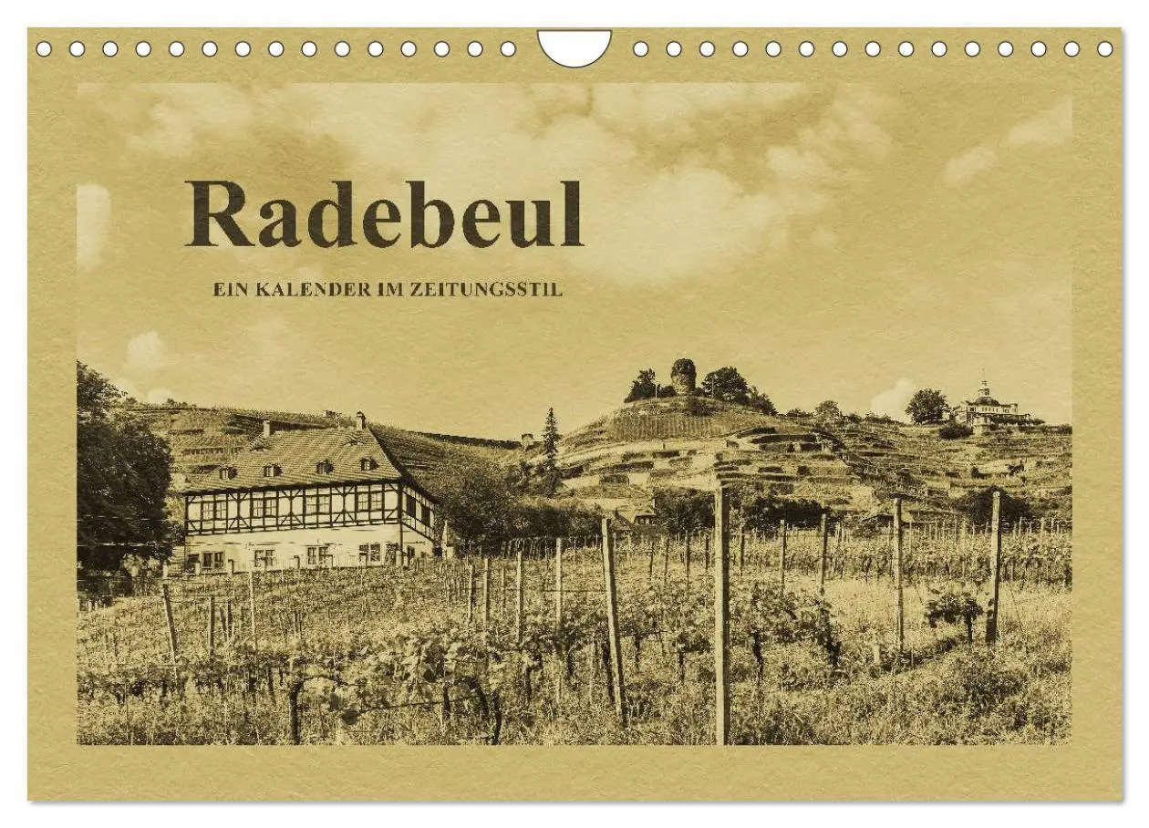 Cover: 9783516146134 | Radebeul - Ein Kalender im Zeitungsstil (Wandkalender 2026 DIN A4...