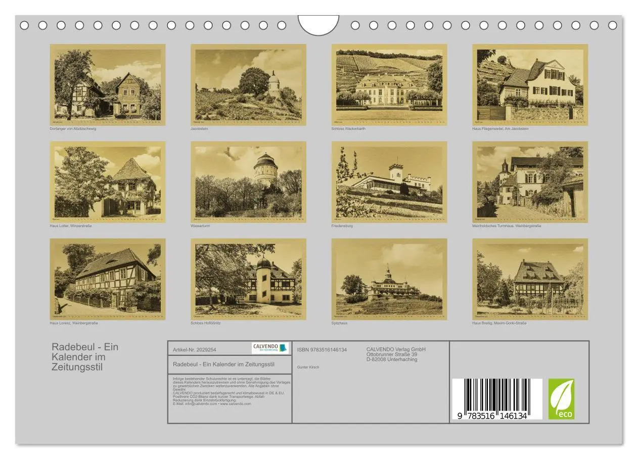 Bild: 9783516146134 | Radebeul - Ein Kalender im Zeitungsstil (Wandkalender 2026 DIN A4...