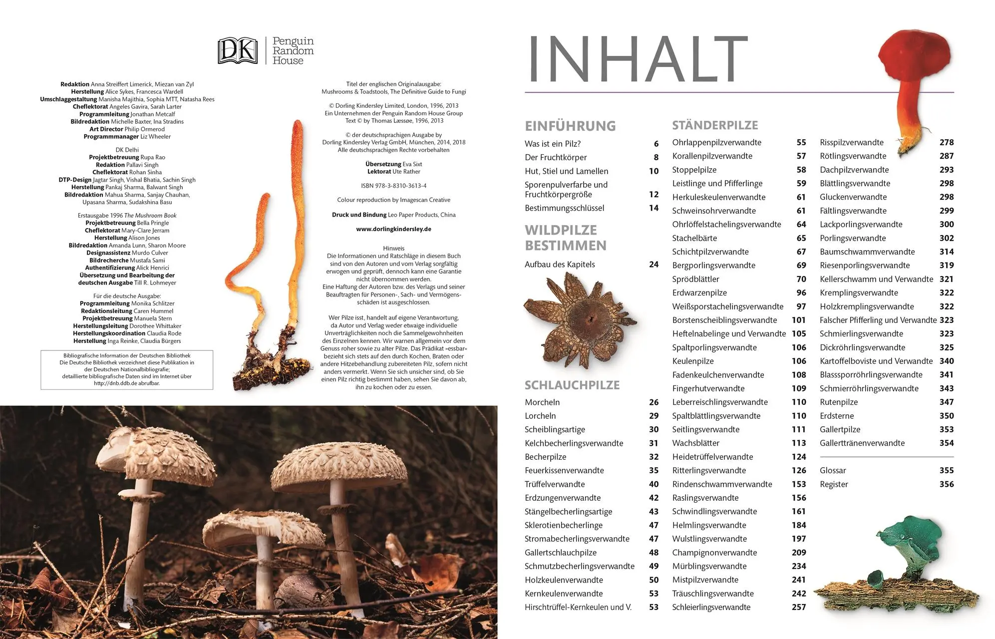 Bild: 9783831036134 | Pilze | Das große Bestimmungsbuch | Thomas Læssøe | Buch | 360 S.