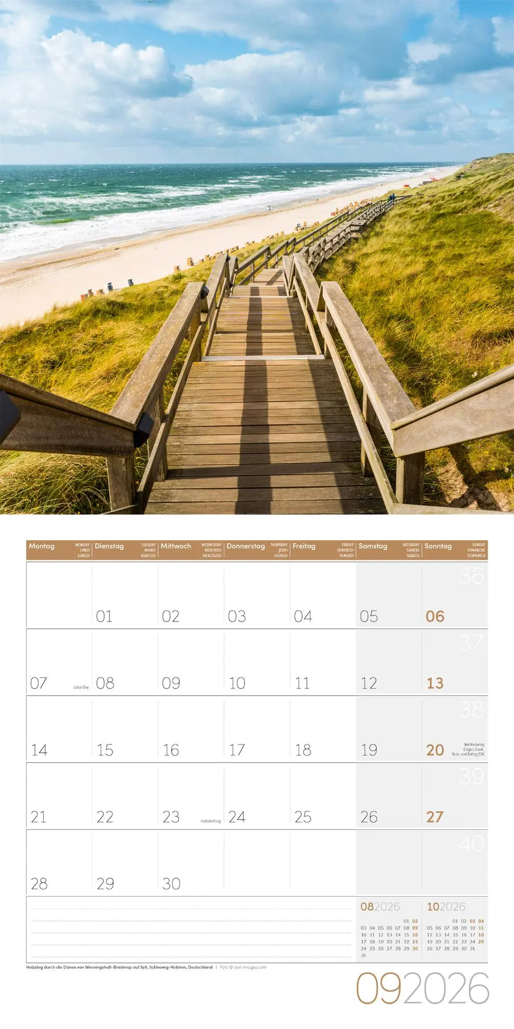 Bild: 9783838446134 | Am Meer Kalender 2026 - 30x30 | Ackermann Kunstverlag GmbH | Kalender