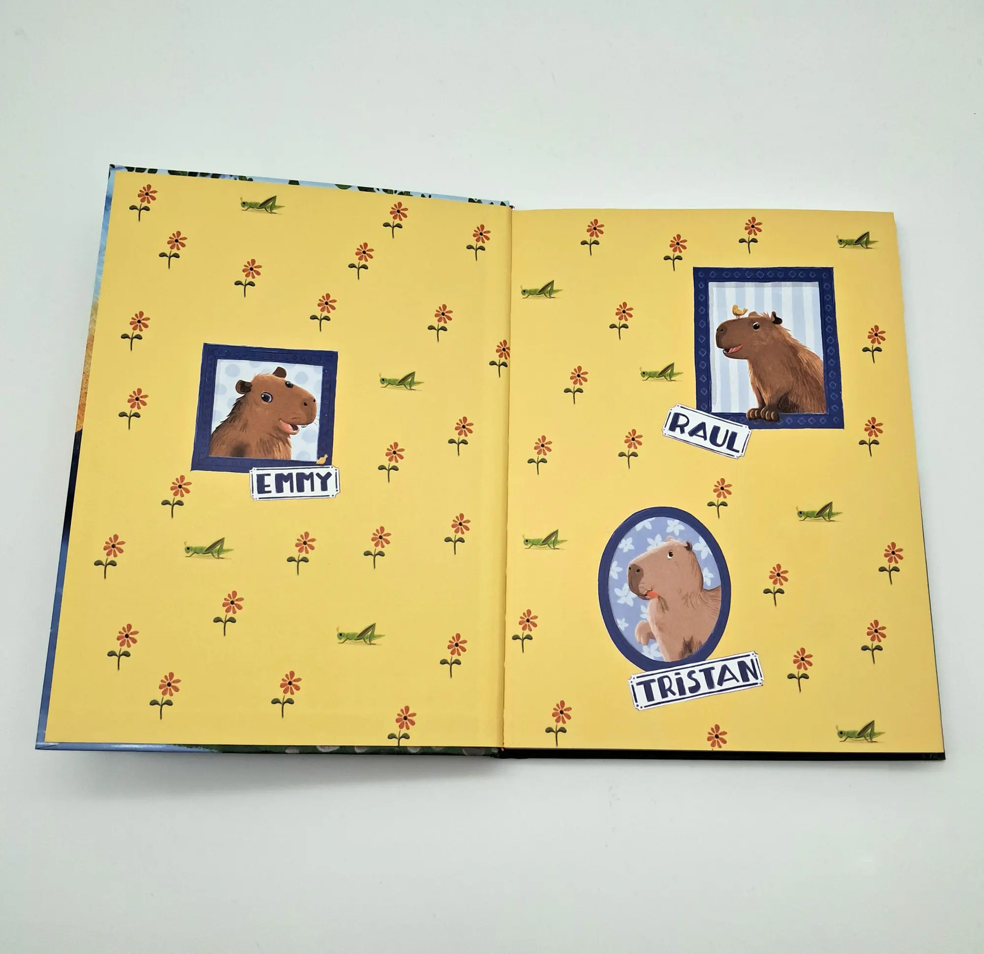 Bild: 9783423766234 | Drei Wasserschweine tauchen ab | Matthäus Bär | Buch | 160 S. | 2026