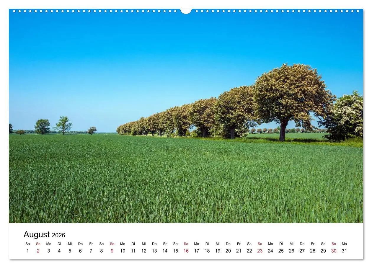 Bild: 9783516136234 | Fehmarn - "fe mer" natürlich "am Meer gelegen" (Wandkalender 2026...