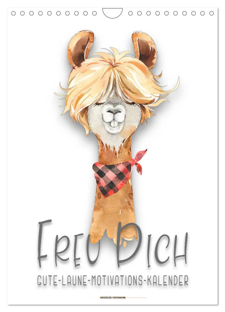Cover: 9783516376234 | Freu Dich - Gute-Laune-Motivations-Kalender (Wandkalender 2026 DIN...