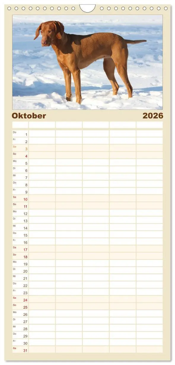 Bild: 9783516516234 | Familienplaner 2026 - Magyar Vizsla - Vielseitiger Jagdhund mit 5...