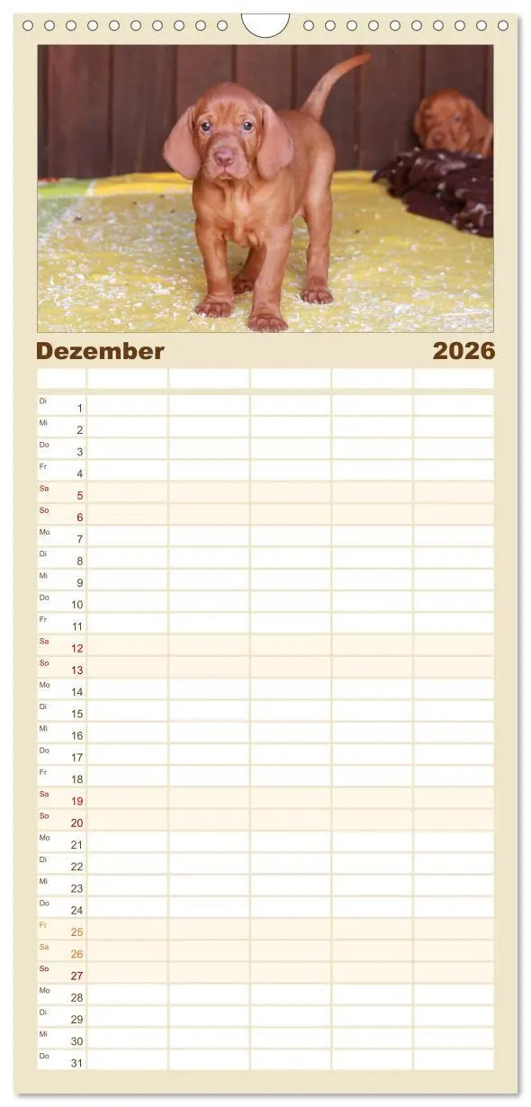 Bild: 9783516516234 | Familienplaner 2026 - Magyar Vizsla - Vielseitiger Jagdhund mit 5...