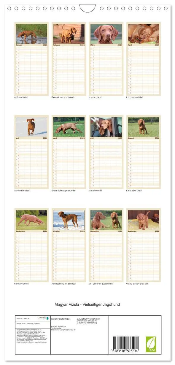 Bild: 9783516516234 | Familienplaner 2026 - Magyar Vizsla - Vielseitiger Jagdhund mit 5...