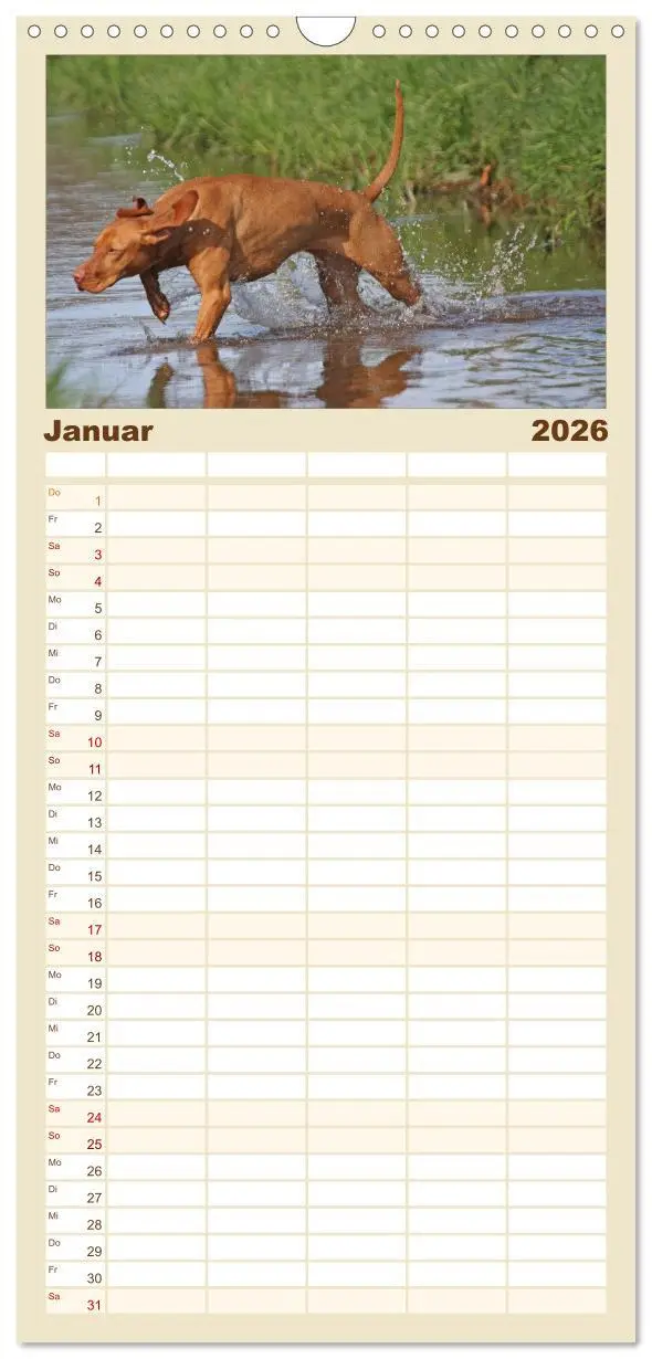 Bild: 9783516516234 | Familienplaner 2026 - Magyar Vizsla - Vielseitiger Jagdhund mit 5...