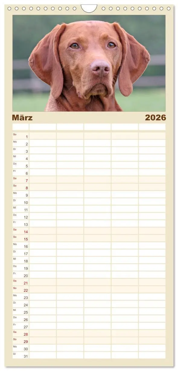 Bild: 9783516516234 | Familienplaner 2026 - Magyar Vizsla - Vielseitiger Jagdhund mit 5...