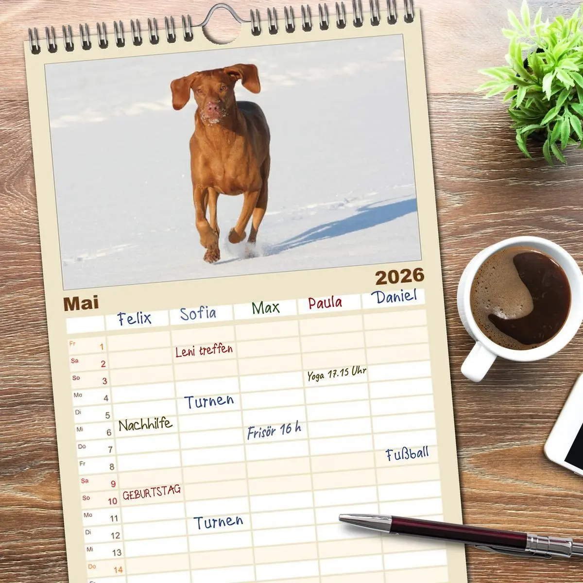 Bild: 9783516516234 | Familienplaner 2026 - Magyar Vizsla - Vielseitiger Jagdhund mit 5...