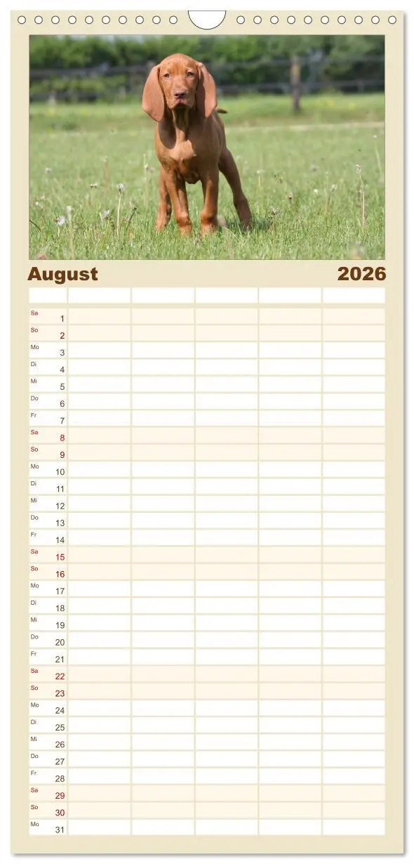Bild: 9783516516234 | Familienplaner 2026 - Magyar Vizsla - Vielseitiger Jagdhund mit 5...
