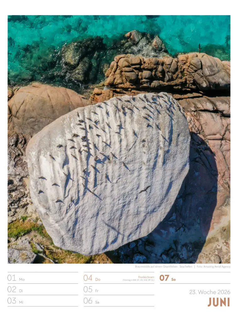 Bild: 9783838436234 | Above Wochenplaner Luftbild-Kalender 2026 | Ackermann Kunstverlag GmbH