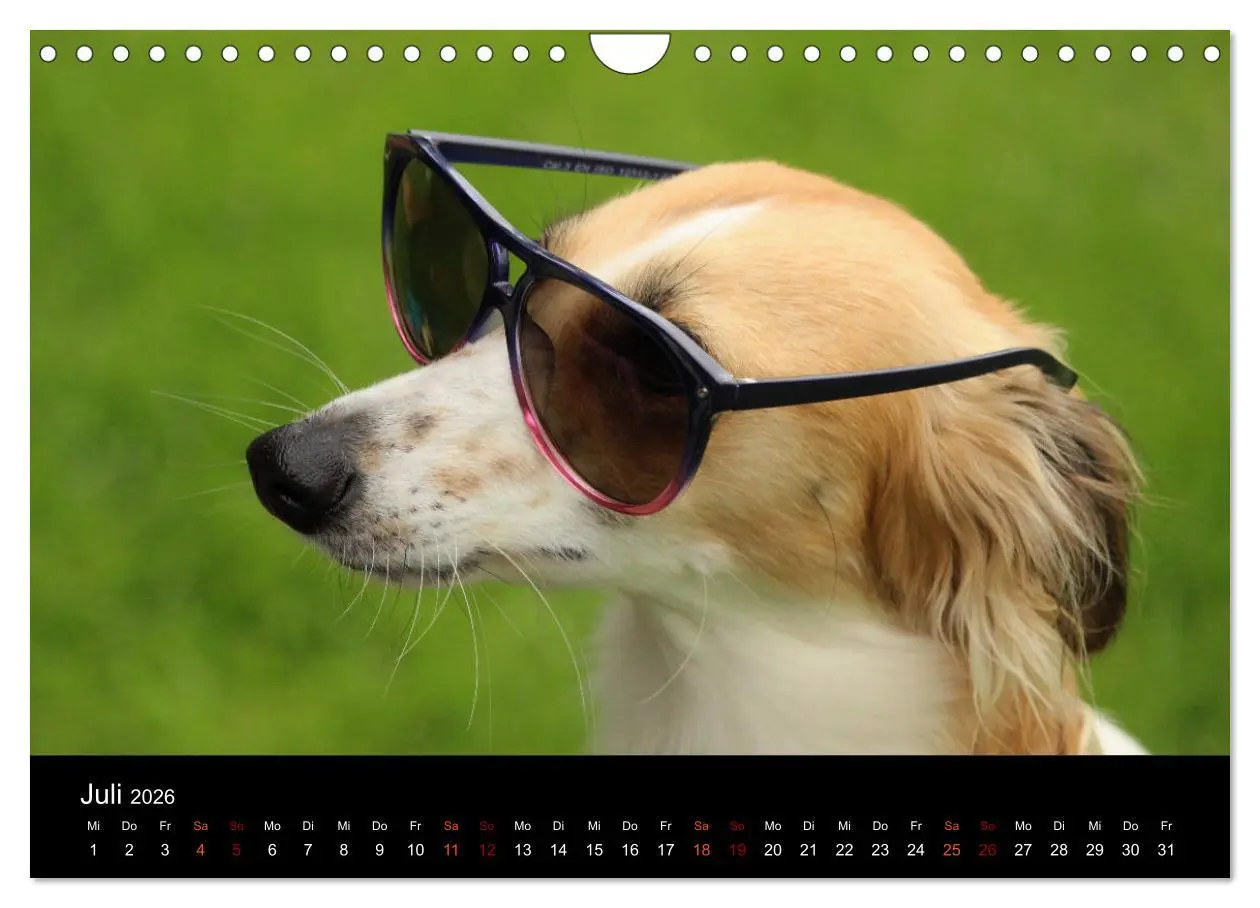 Bild: 9783457896334 | Der Silken Windsprite - ein Seelenhund (Wandkalender 2026 DIN A4...