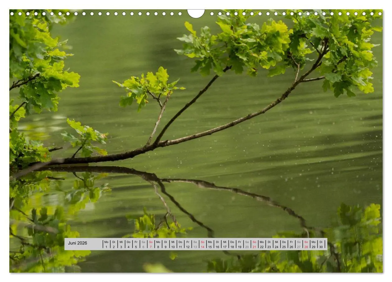Bild: 9783516056334 | Perlen des Westerwaldes (Wandkalender 2026 DIN A3 quer), CALVENDO...