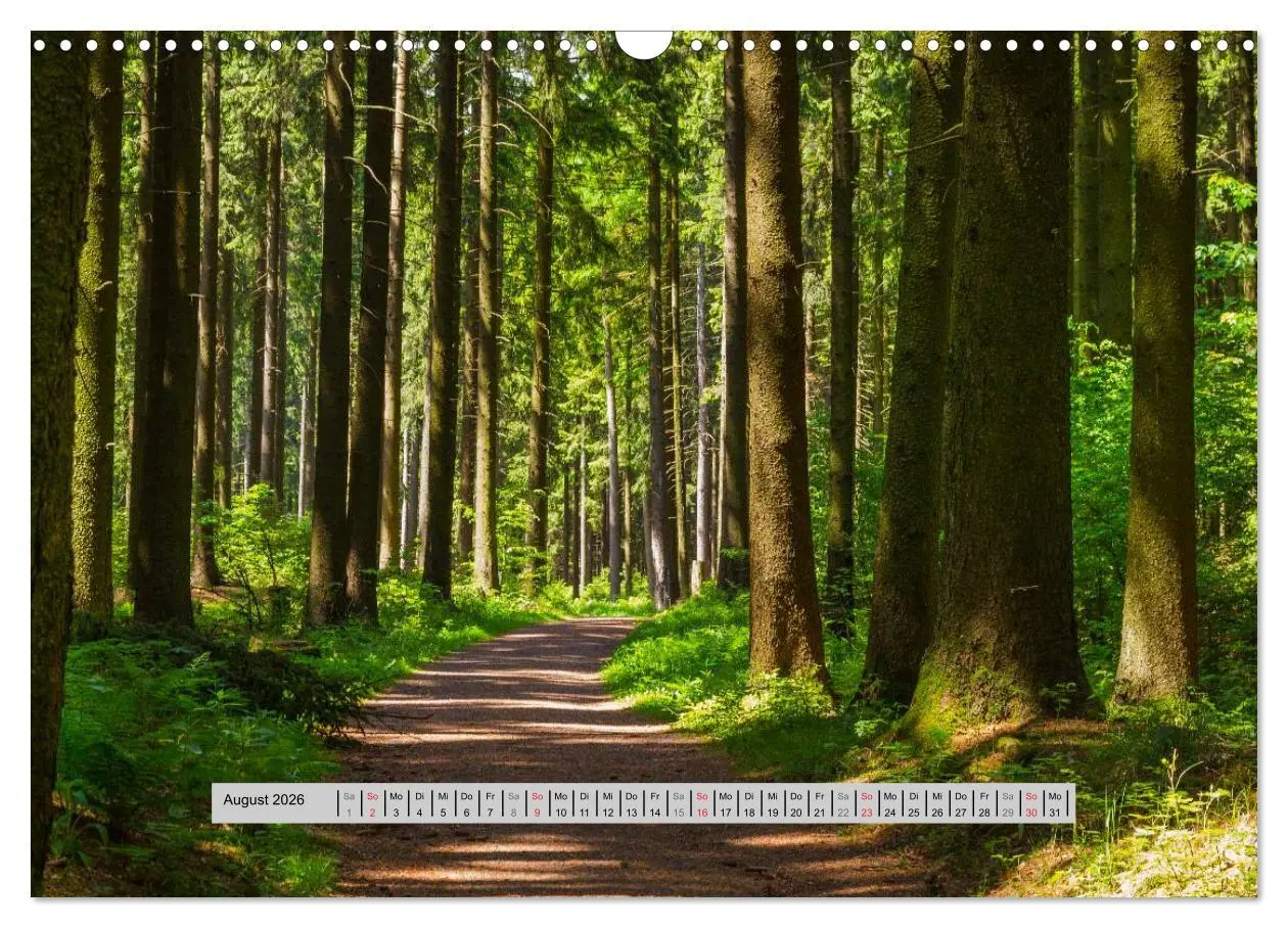 Bild: 9783516056334 | Perlen des Westerwaldes (Wandkalender 2026 DIN A3 quer), CALVENDO...