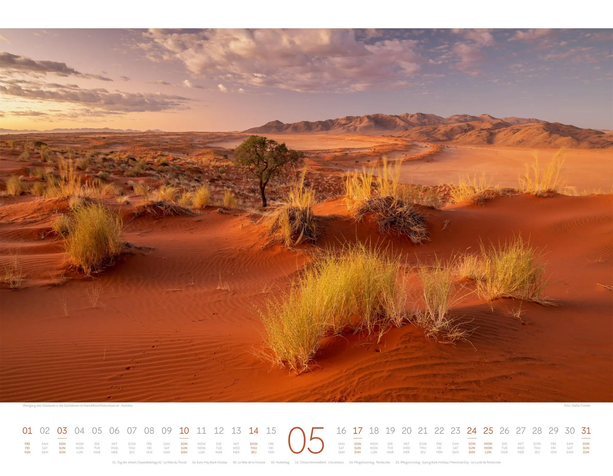 Bild: 9783838426334 | Geheime Paradiese Kalender 2026 | Ackermann Kunstverlag GmbH | 14 S.