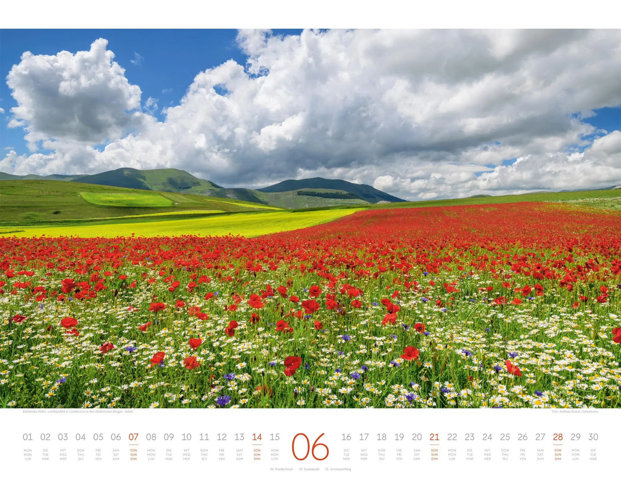 Bild: 9783838426334 | Geheime Paradiese Kalender 2026 | Ackermann Kunstverlag GmbH | 14 S.