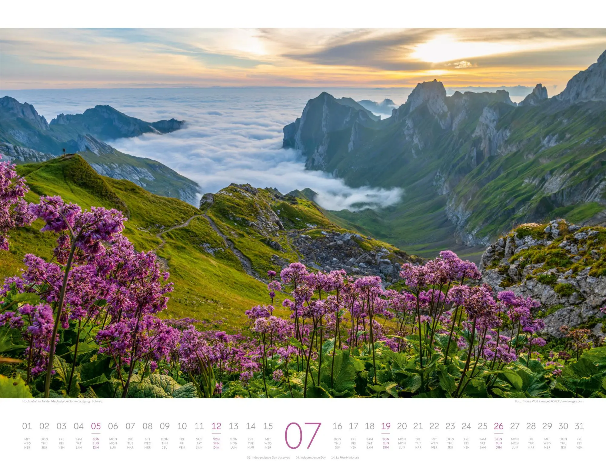 Bild: 9783838426334 | Geheime Paradiese Kalender 2026 | Ackermann Kunstverlag GmbH | 14 S.