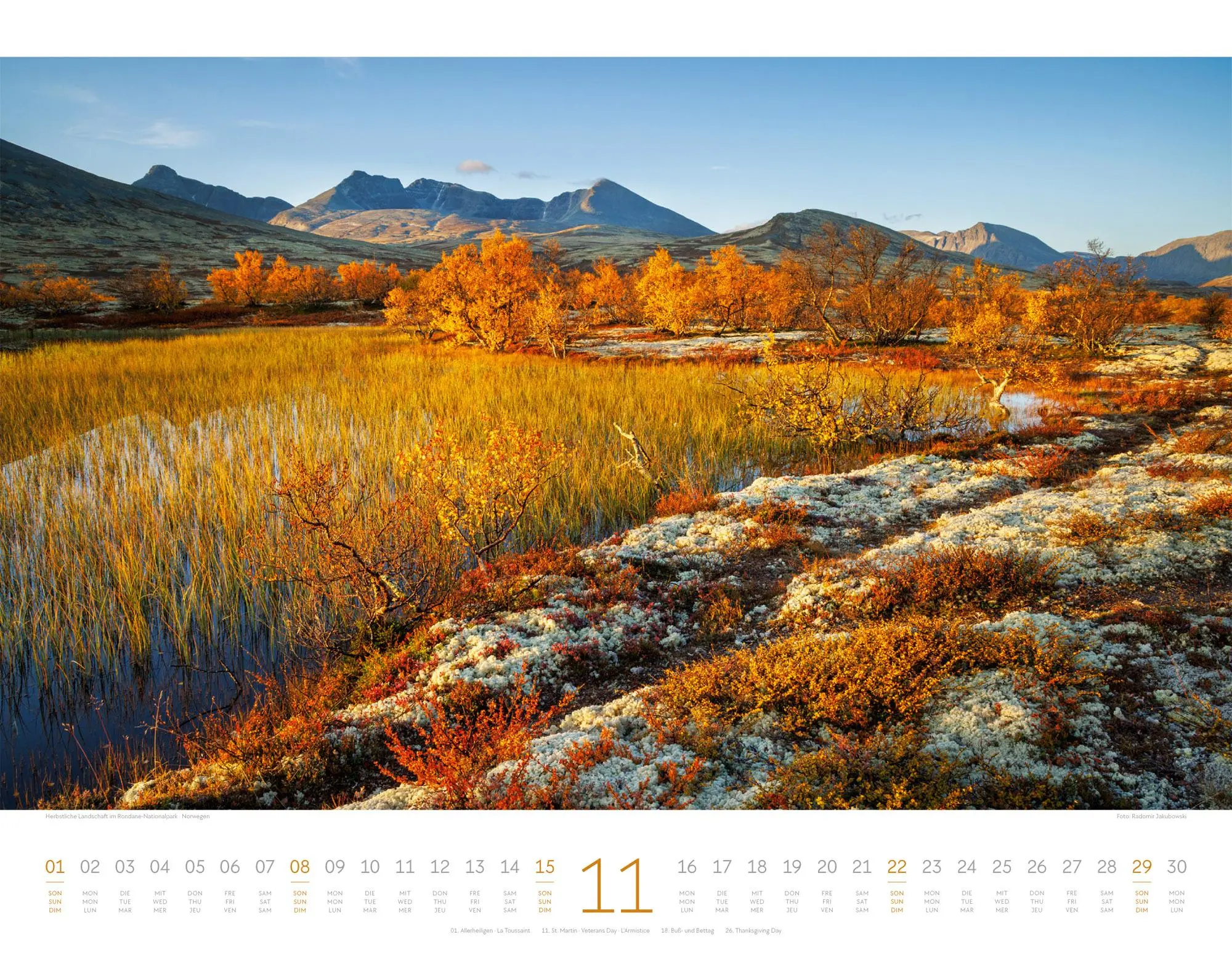 Bild: 9783838426334 | Geheime Paradiese Kalender 2026 | Ackermann Kunstverlag GmbH | 14 S.