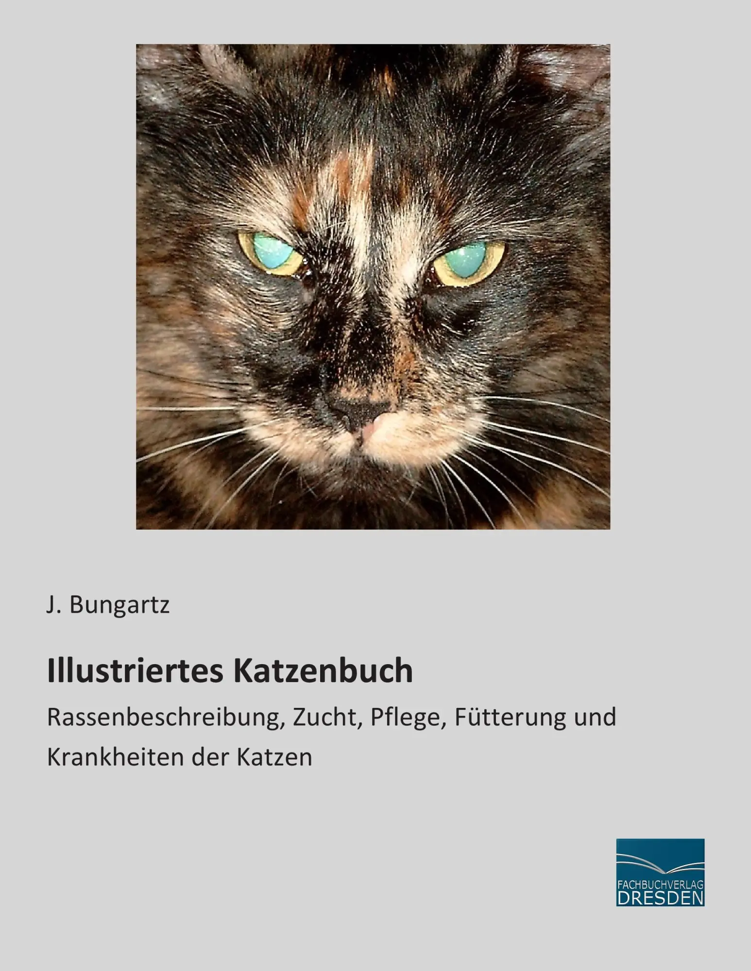Cover: 9783956926334 | Illustriertes Katzenbuch | J. Bungartz | Taschenbuch | 128 S. | 2015