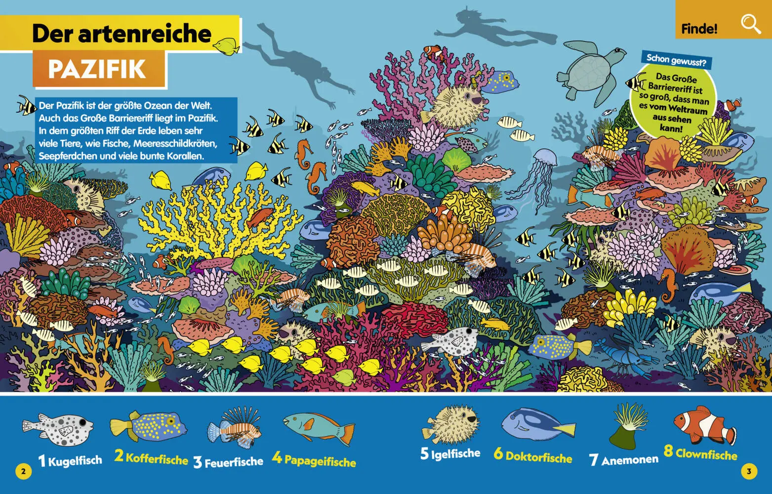 Bild: 9788863126334 | Ozean. Lernspaß mit spannenden Tiersuchen! Entdecke mehr als 250...