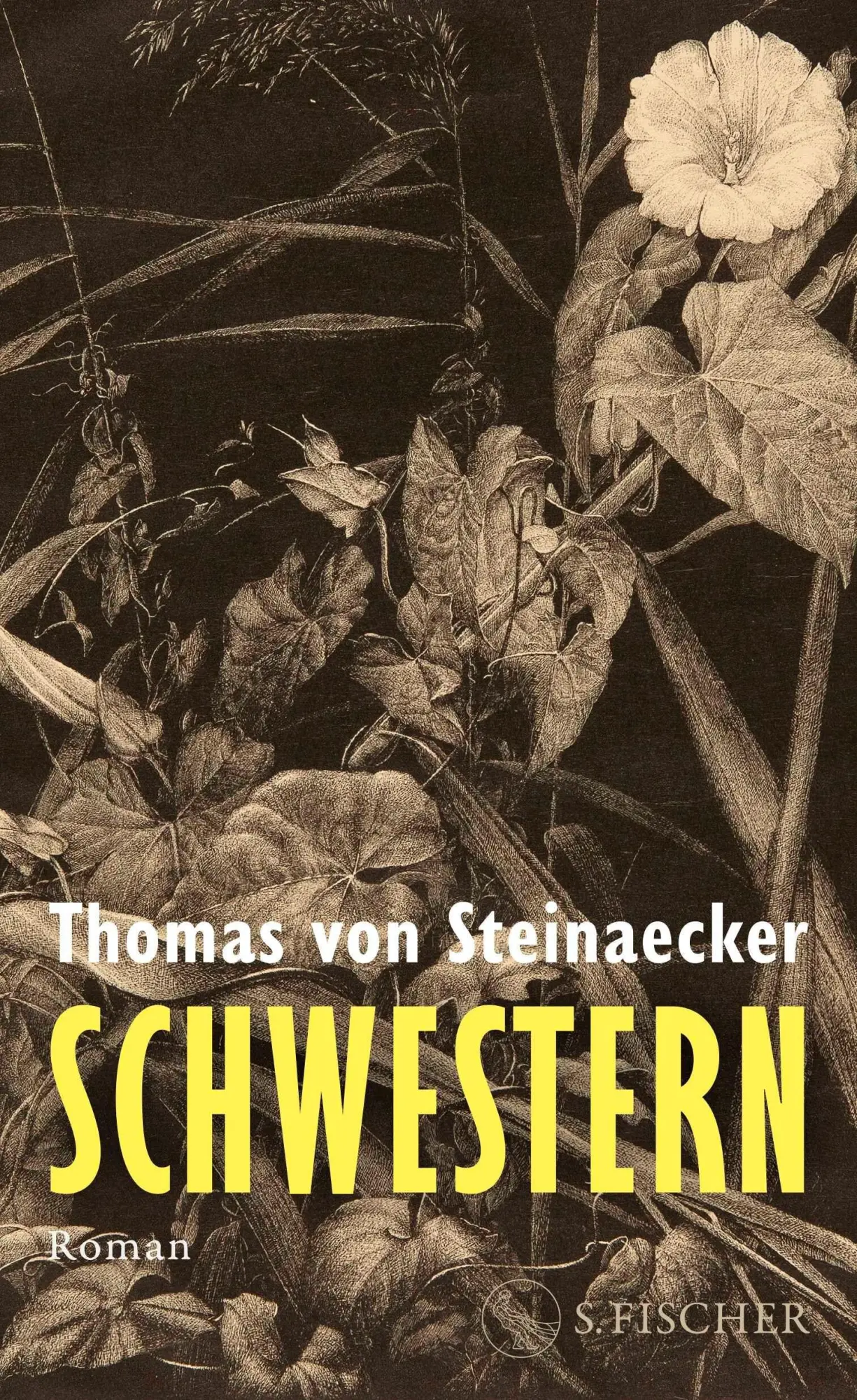 Cover: 9783103976434 | Schwestern | Roman | Thomas von Steinaecker | Buch | 352 S. | Deutsch