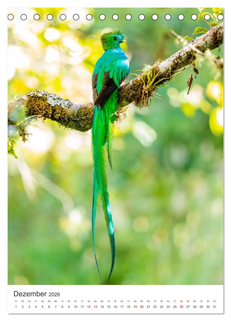 Bild: 9783516356434 | Faszination Costa Rica (Tischkalender 2026 DIN A5 hoch), CALVENDO...