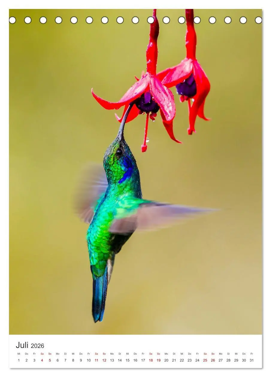 Bild: 9783516356434 | Faszination Costa Rica (Tischkalender 2026 DIN A5 hoch), CALVENDO...