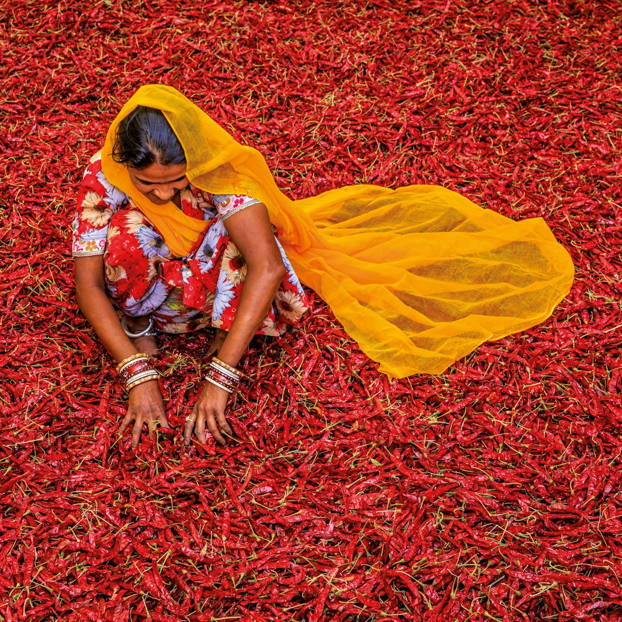 Bild: 9783959296434 | Colours of India 2027 | Kalender 2027 | Kalender | 28 S. | Deutsch