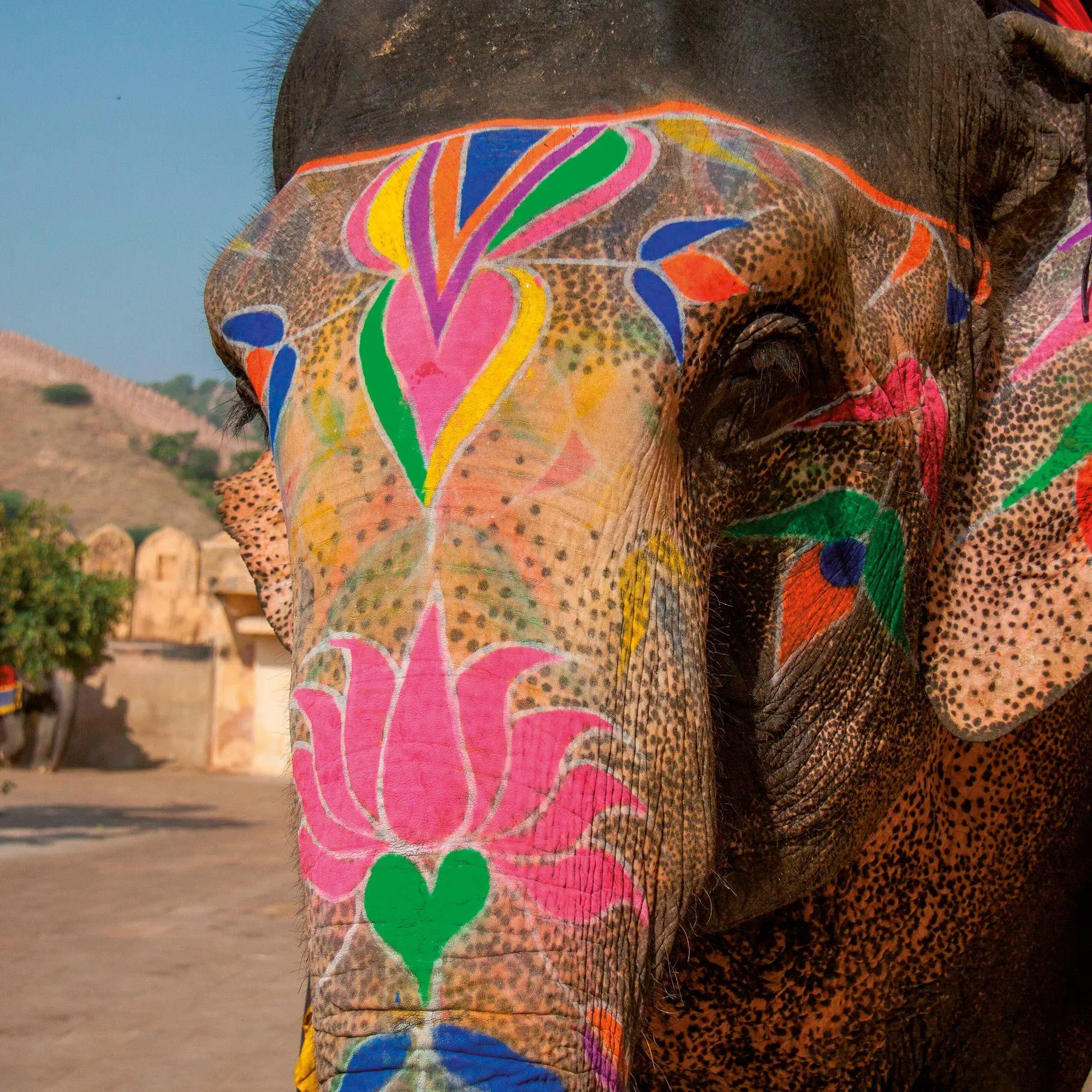 Bild: 9783959296434 | Colours of India 2027 | Kalender 2027 | Kalender | 28 S. | Deutsch