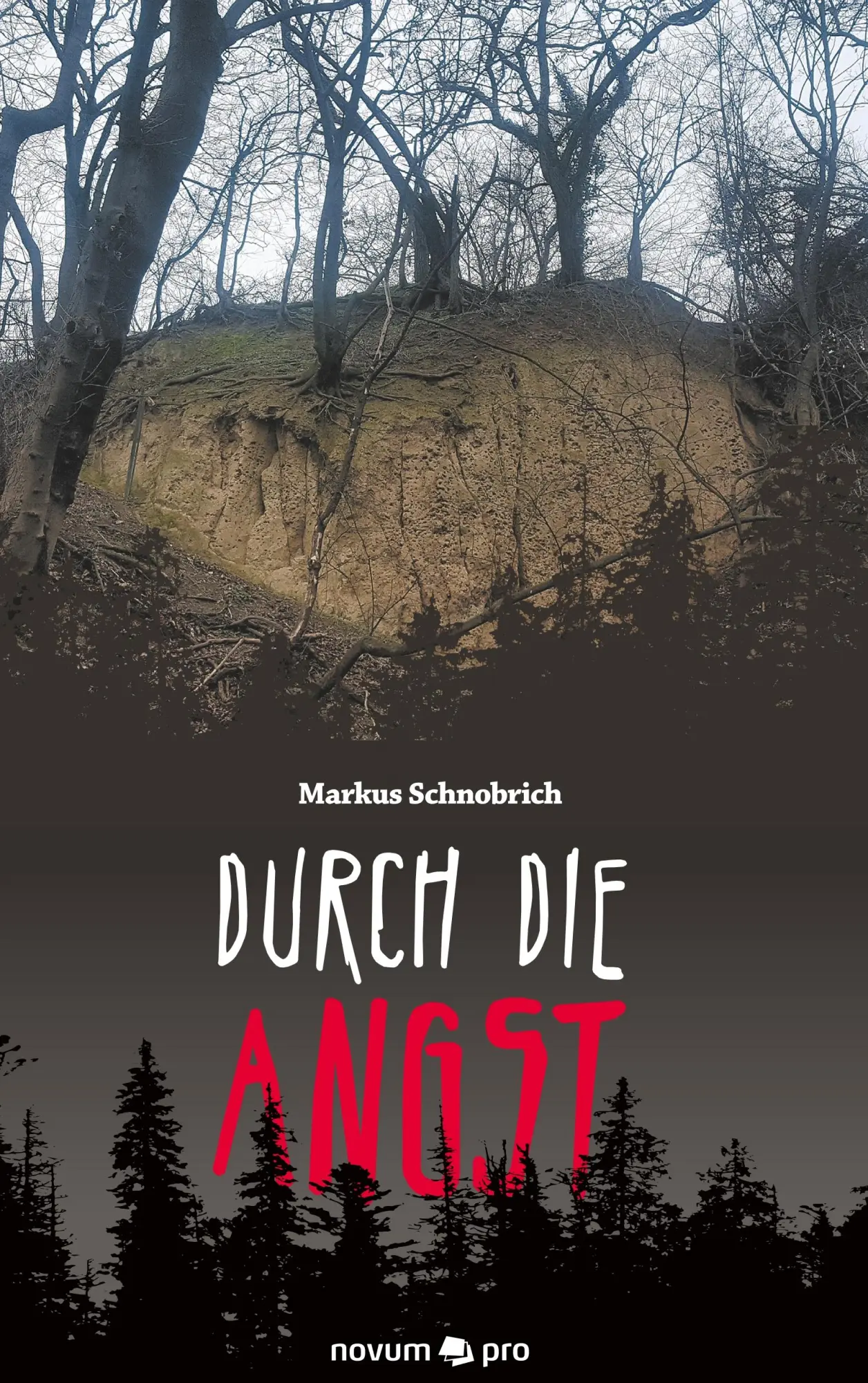Cover: 9783990646434 | Durch die Angst | Markus Schnobrich | Taschenbuch | 88 S. | Deutsch