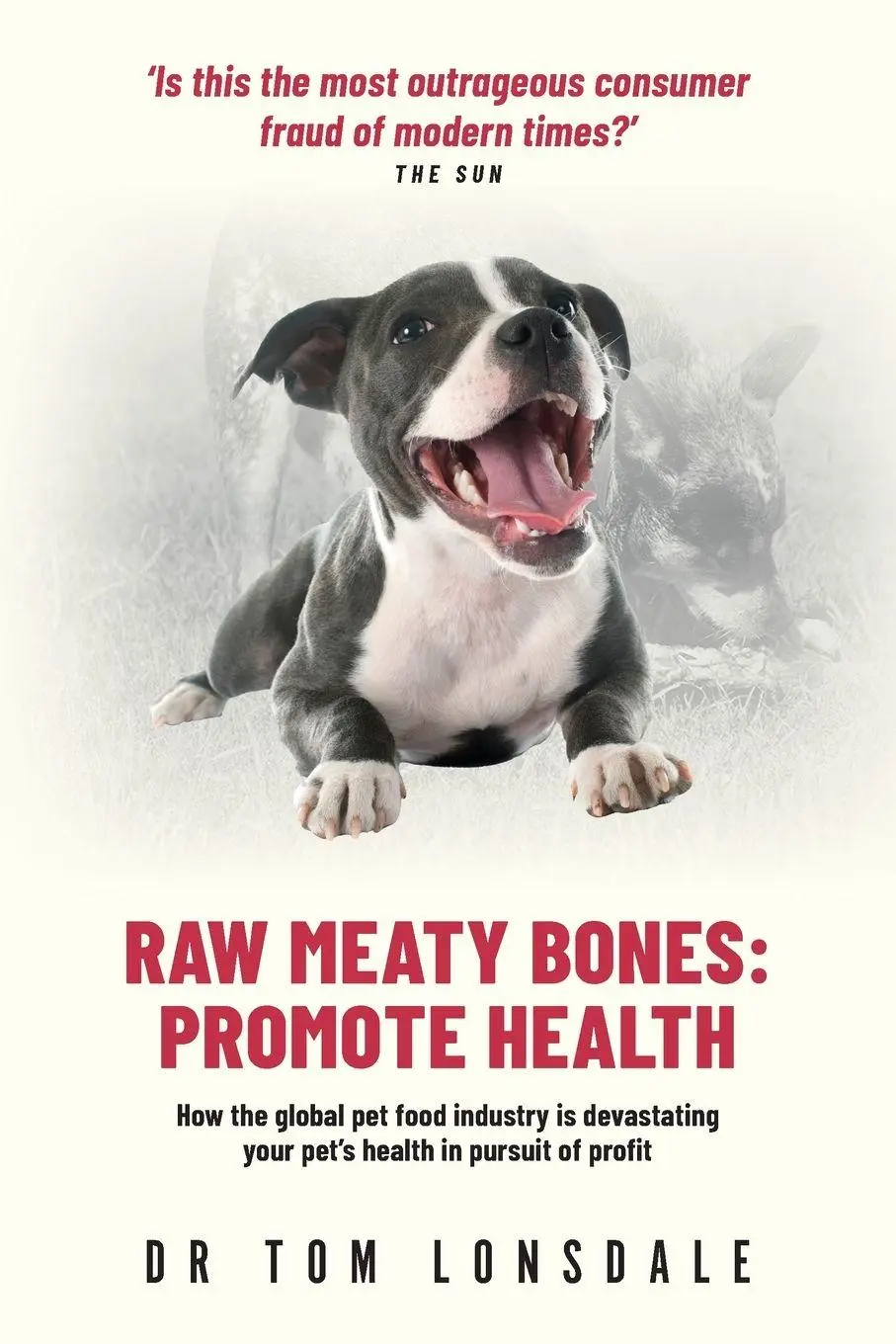 Cover: 9780645726534 | Raw Meaty Bones | Promote Health | Tom Lonsdale | Taschenbuch | 2023