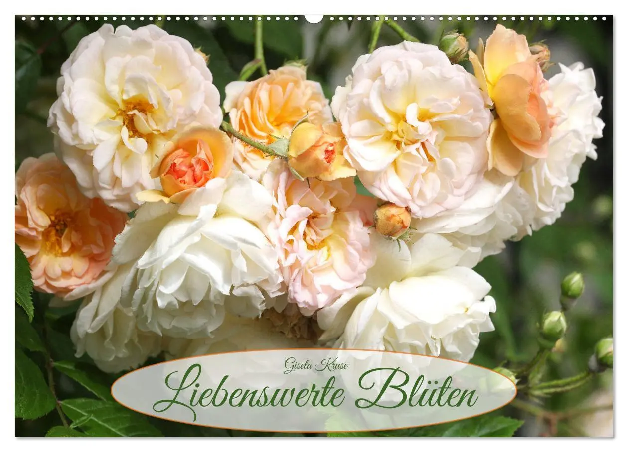 Cover: 9783457636534 | Liebenswerte Blüten (Wandkalender 2026 DIN A2 quer), CALVENDO...