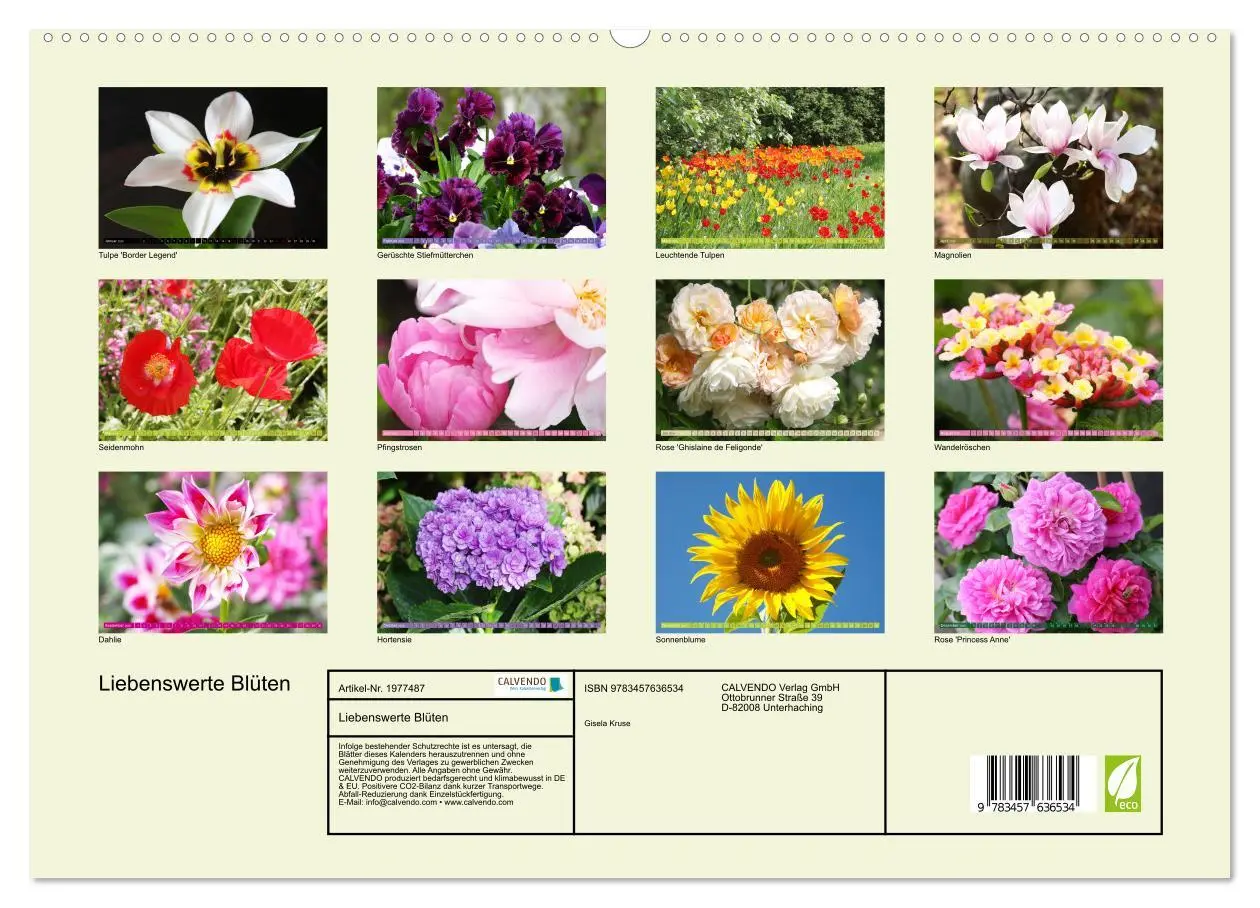 Bild: 9783457636534 | Liebenswerte Blüten (Wandkalender 2026 DIN A2 quer), CALVENDO...